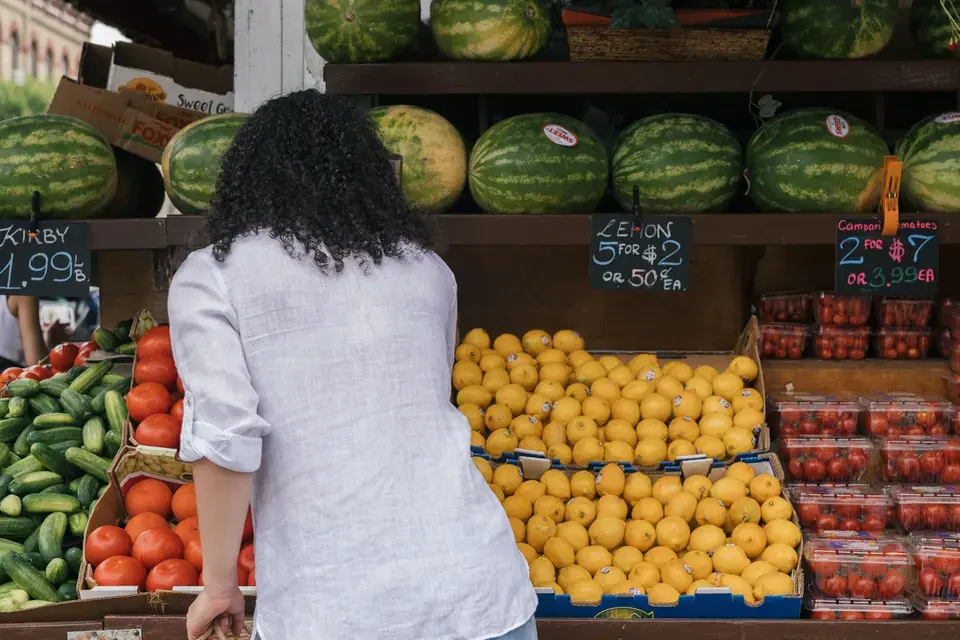Explore Our Vibrant Community: Federal Way, WA in Federal Way